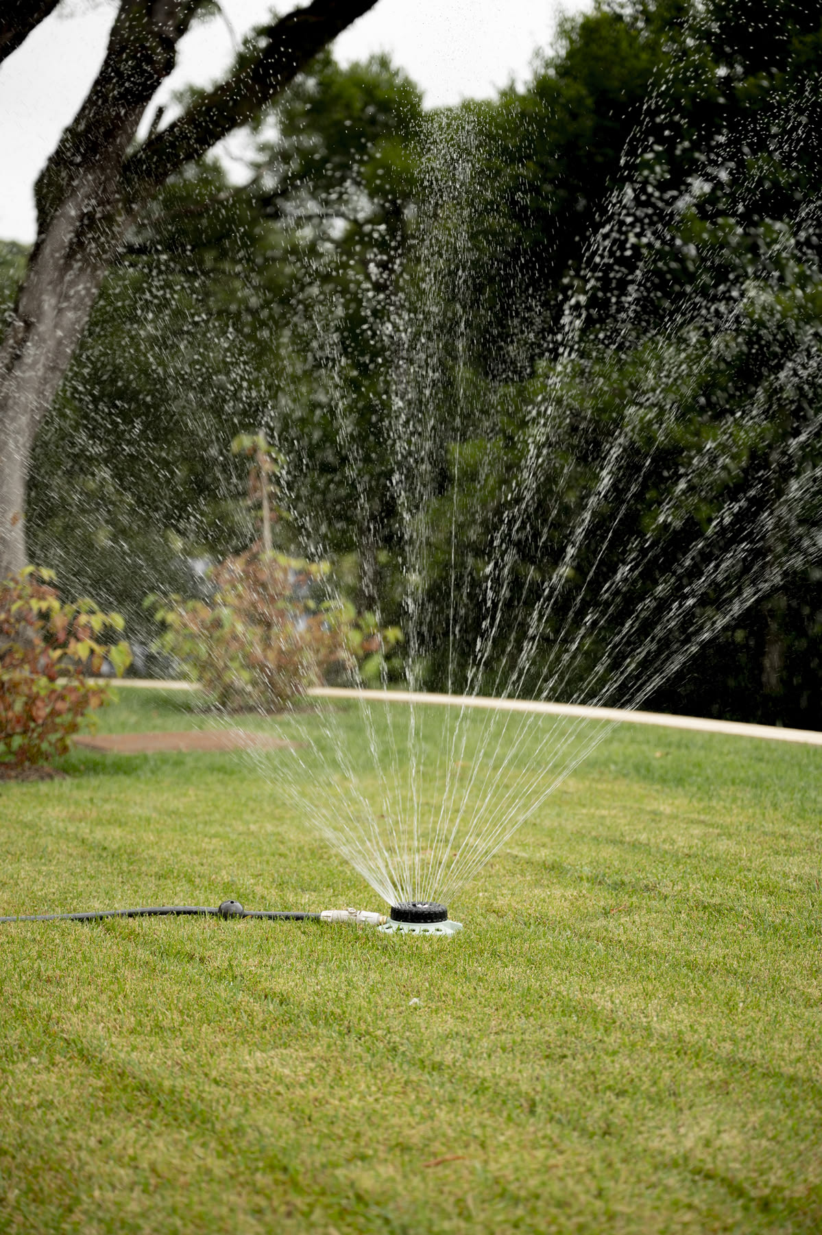 أنظمة وشبكات الري تنسيق حدائق في الرياض – تصميم حديقة مودرن