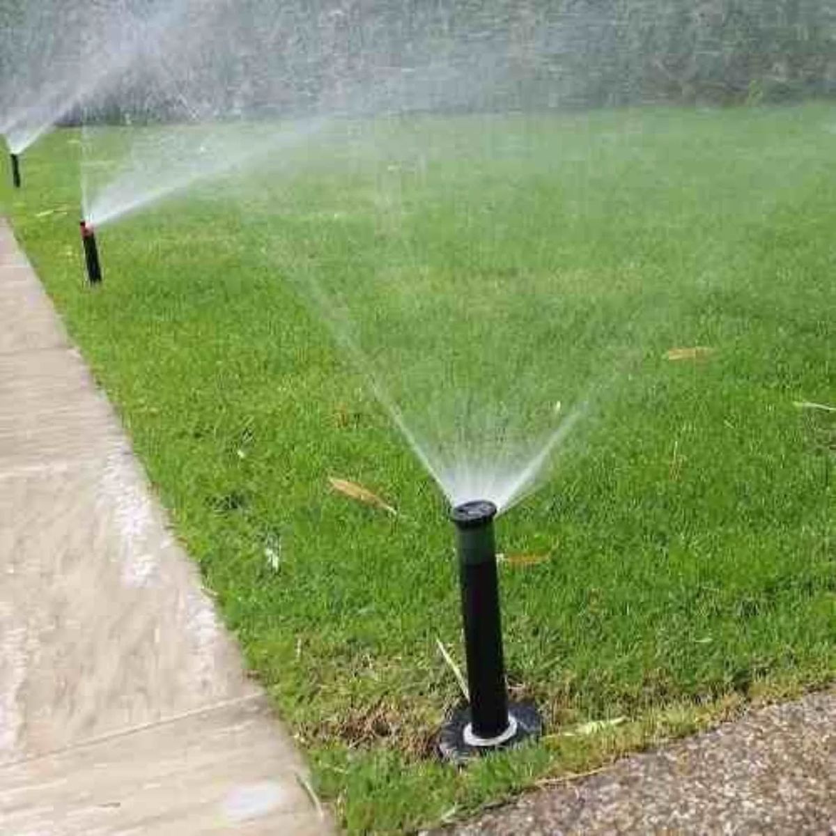 عشب طبيعي وصناعي تنسيق حدائق في الرياض – تصميم حديقة مودرن