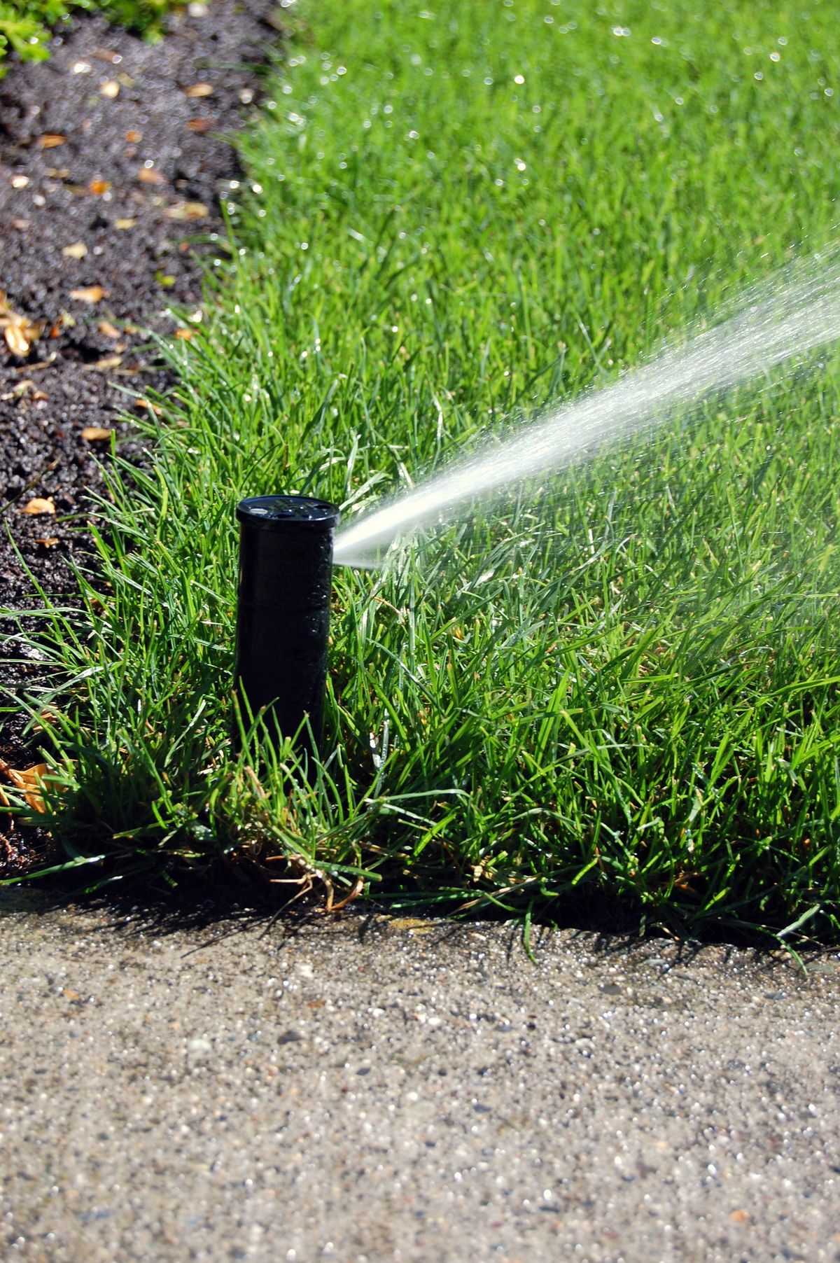 أنظمة وشبكات الري تنسيق حدائق في الرياض – تصميم حديقة مودرن