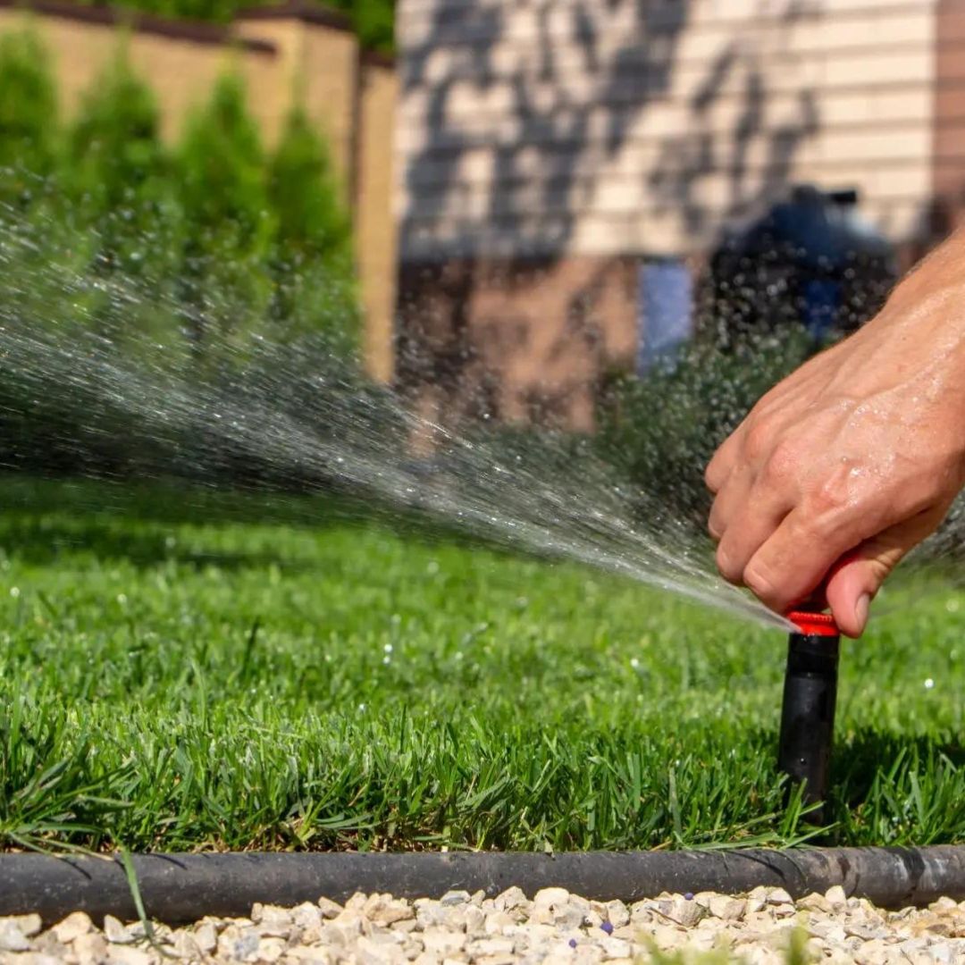 عشب طبيعي وصناعي تنسيق حدائق في الرياض – تصميم حديقة مودرن