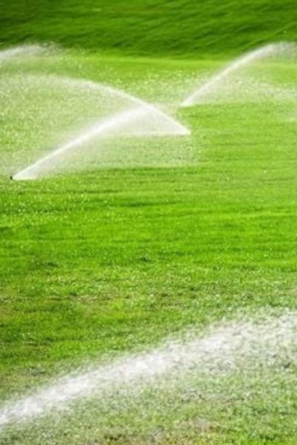 عشب طبيعي وصناعي تنسيق حدائق في الرياض – تصميم حديقة مودرن