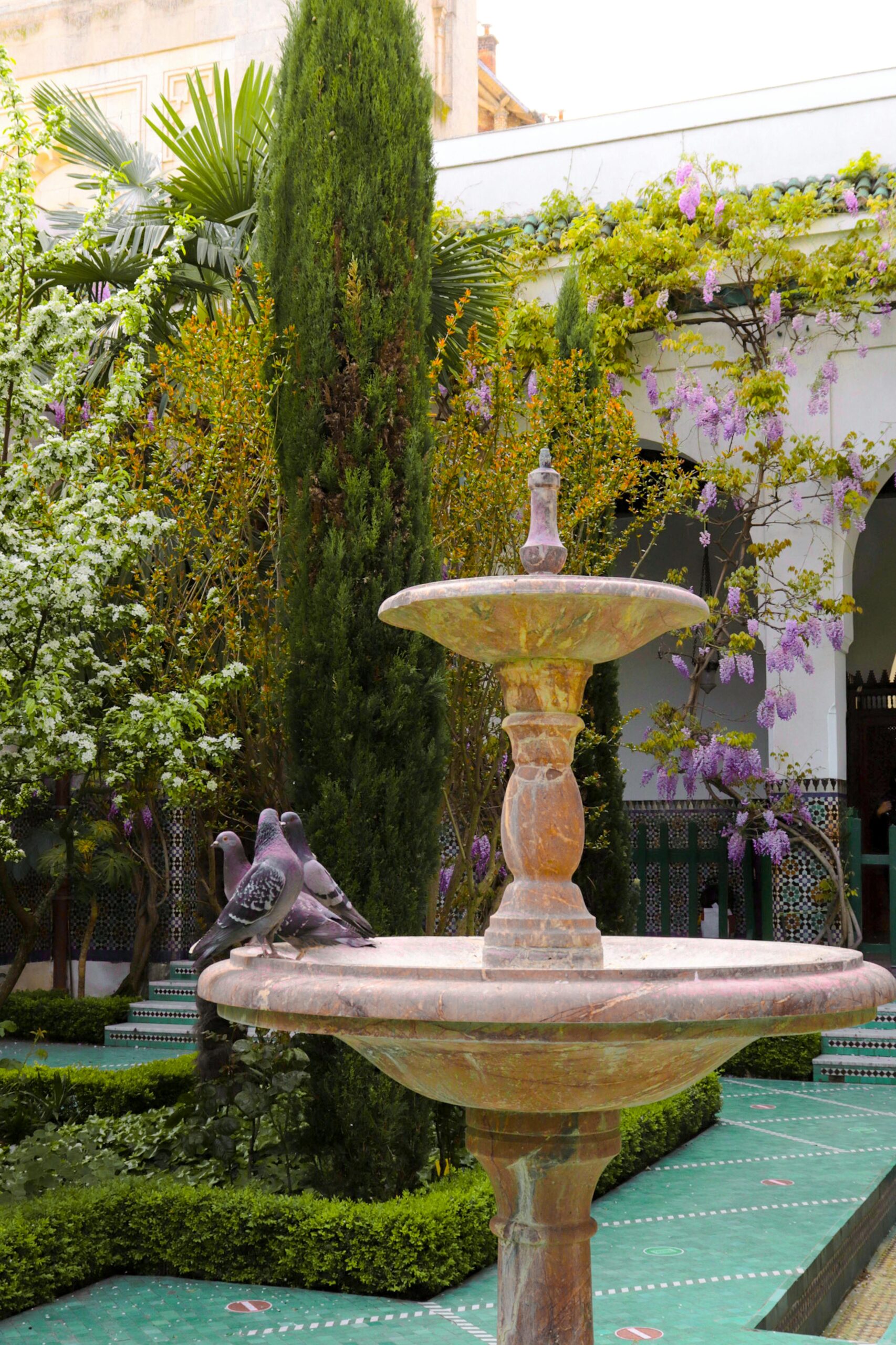 شلالات ونوافير pexels celine 3776818 14602556